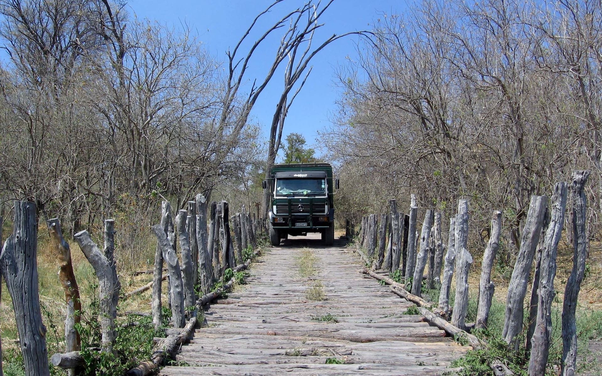 Kleine groepsreis Botswana Moremi