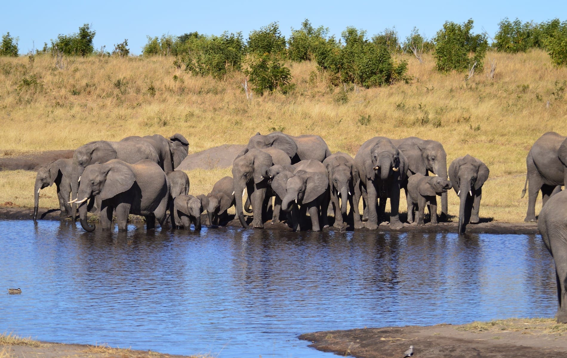 # KOPFOTO - DSC_0009