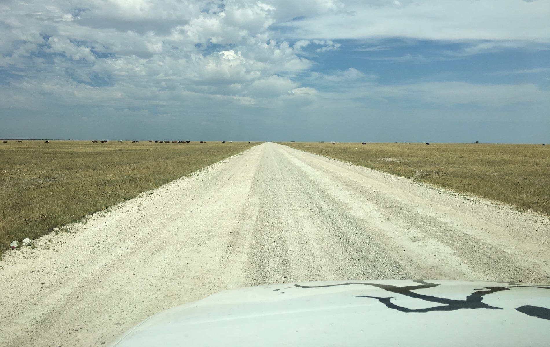 # KOPFOTO - GSM LEIN_3961