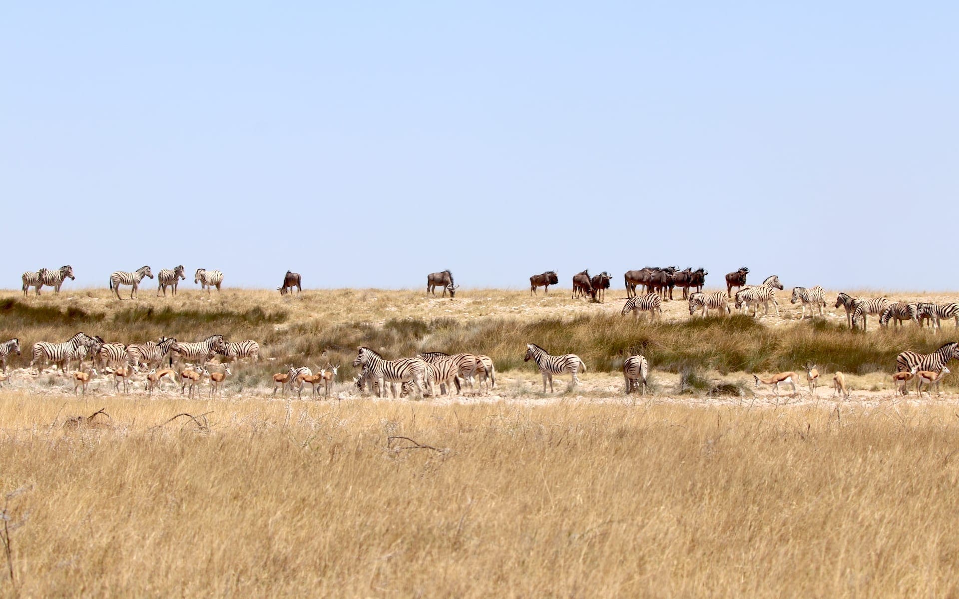 # KOPFOTO - IMG_5166