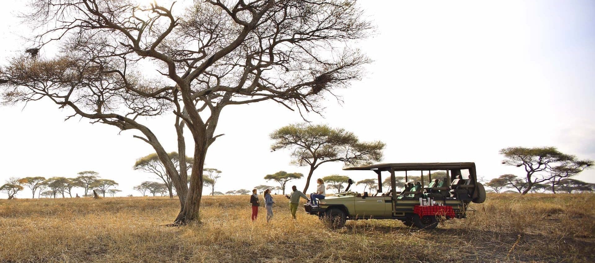 Luxe Fly In Safari Tanzania