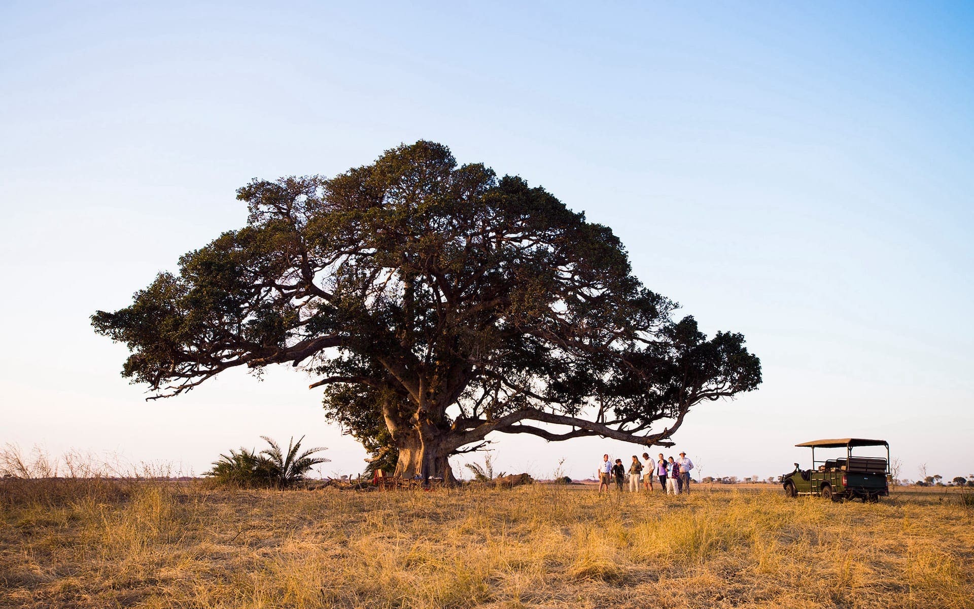 # KOPFOTO - busanga-96