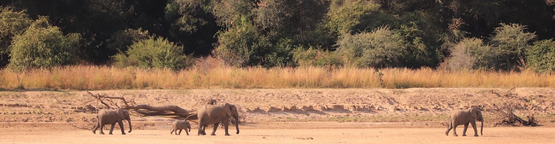 Wat zijn de hoogtepunten van Zambia?