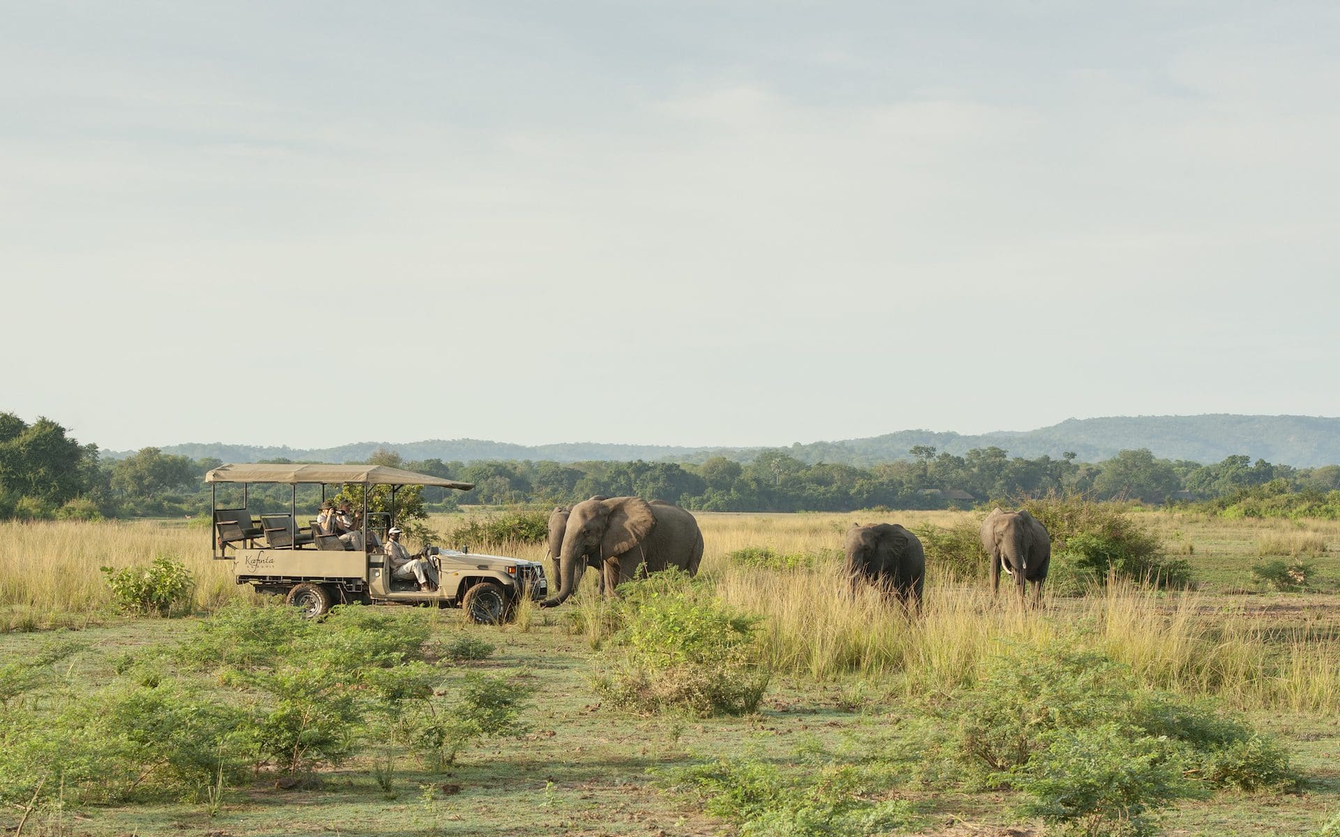 Ultieme Zambia safari in South Luangwa, Kafunta Safaris