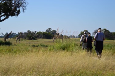 REISTHEMA ACTIEF - BW - Delta - wandelsafari 1