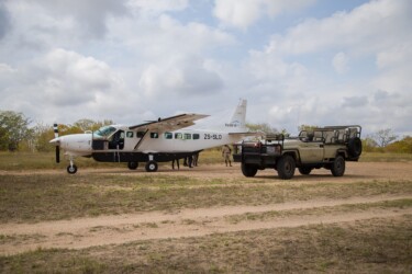 REISTHEMA FLY IN_89K31911