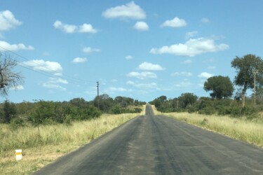 REISTHEMA SELF-DRIVE - ZA - 2017 - IMG_5517 kopie